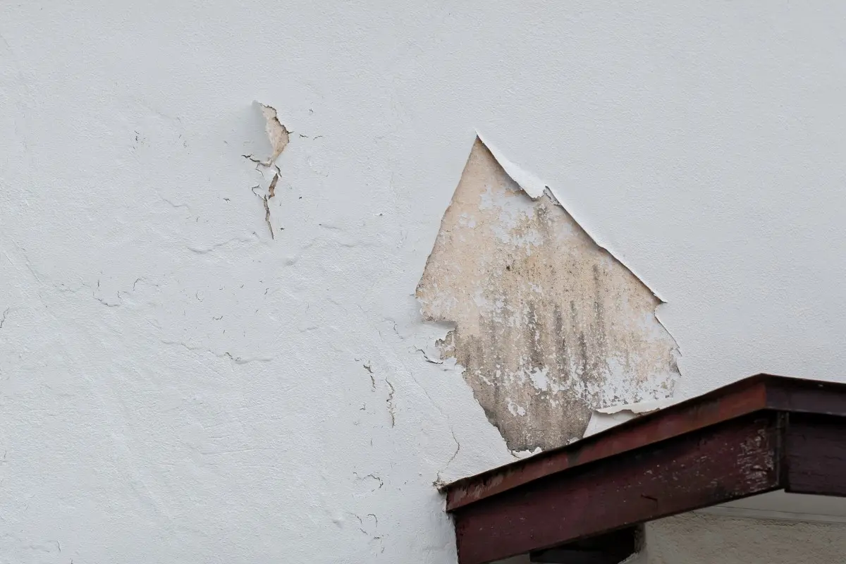 外壁の剥がれ