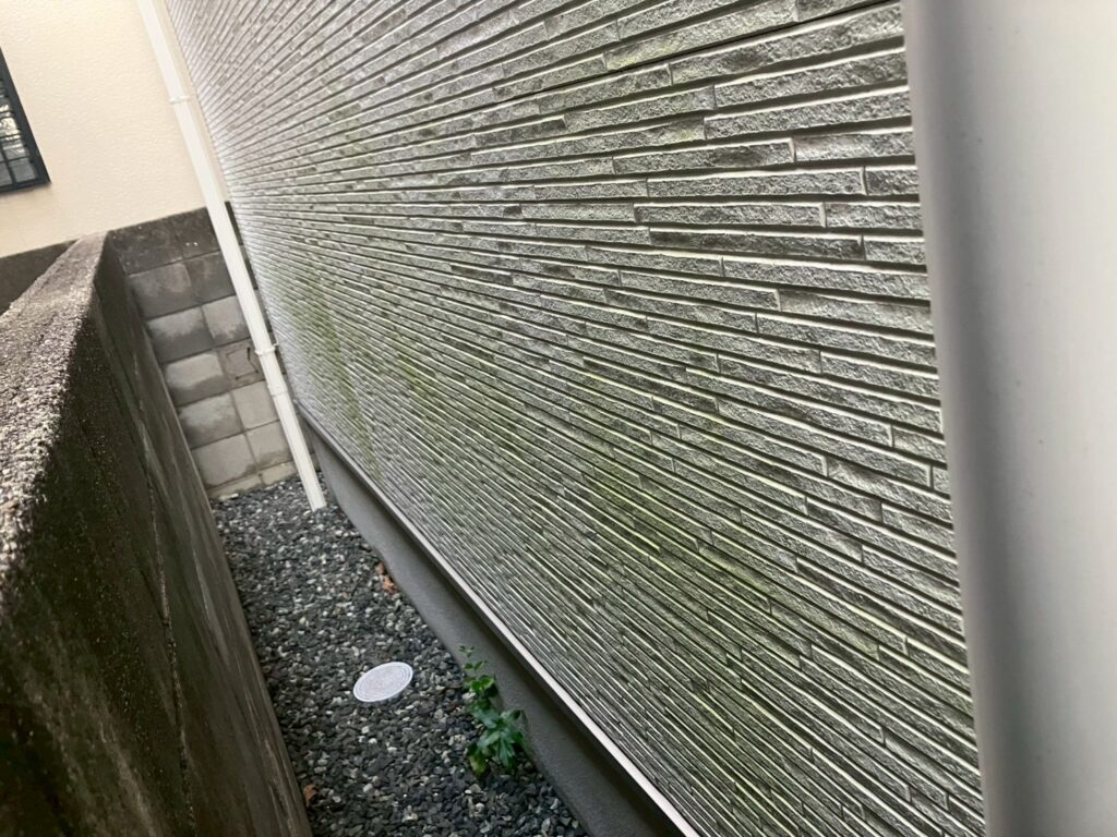 苔・藻の付着 施工前